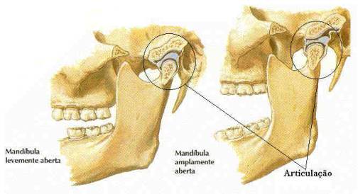 atm mandibular - Consulta Ideal